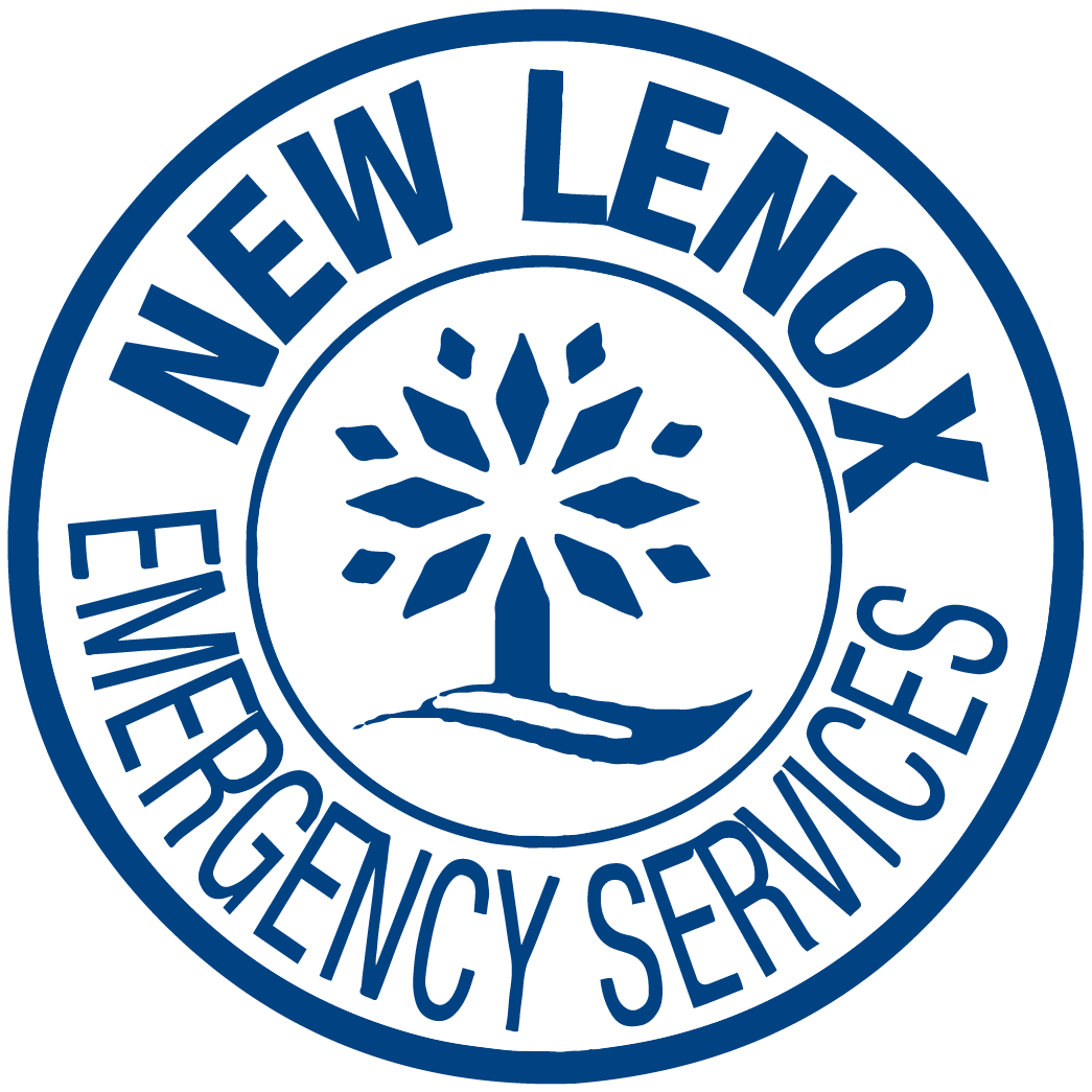 nlesda Logo_new copy