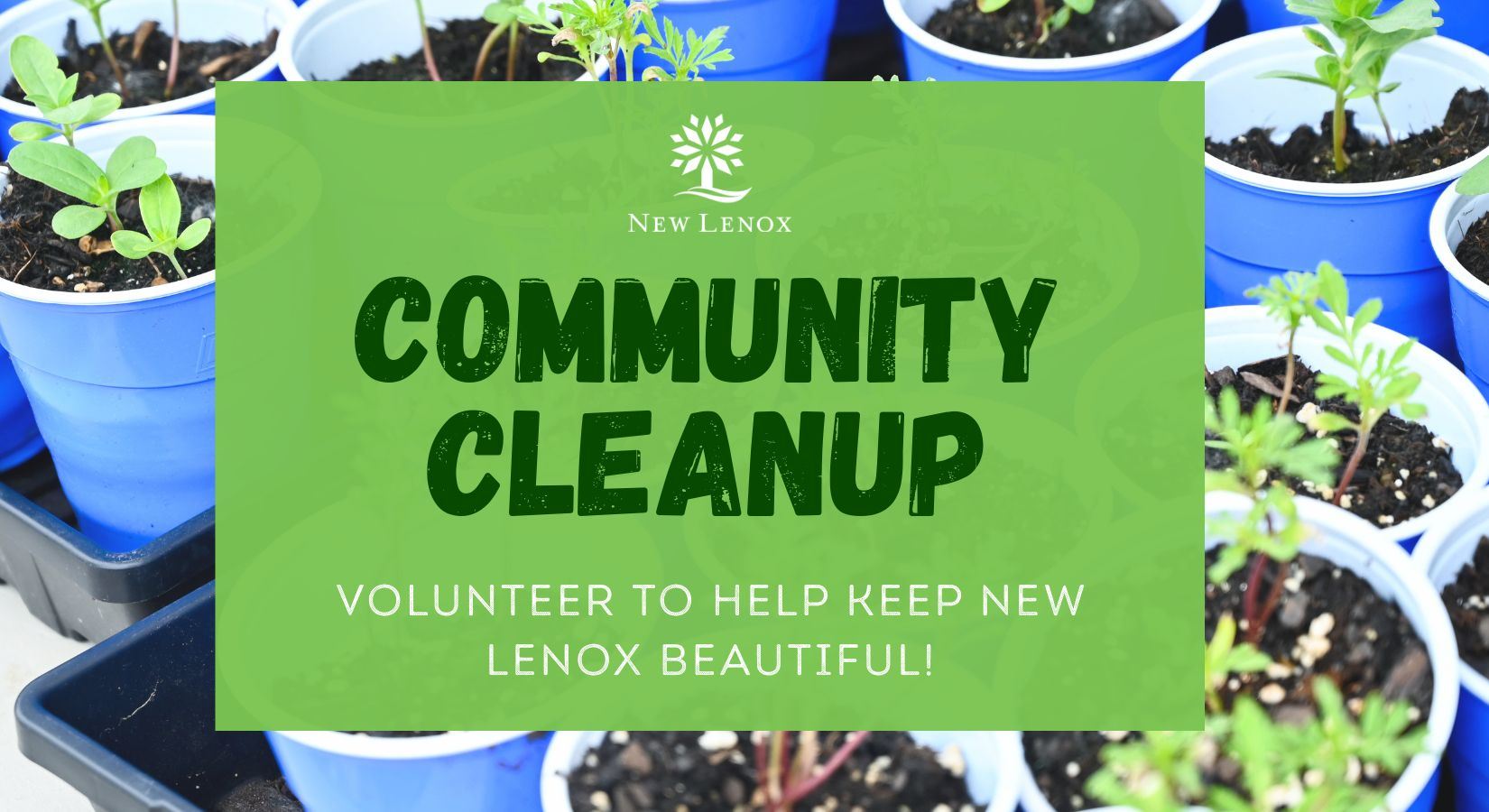 Header Image - Community Cleanup